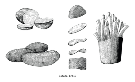 Potatoes hand draw vintage clip art isolated on white backgroundのイラスト素材