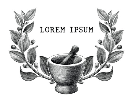 Mortar and pestle with herbs frame vintage engraving illustration isolated on white background,Logo of pharmacy and medicineのイラスト素材