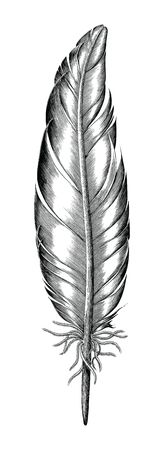 Feather of duck hand draw vintage engraving style isolated on white backgroundのイラスト素材