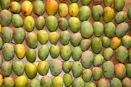 Mango fruit on wooden background. Close up of mango fruit.