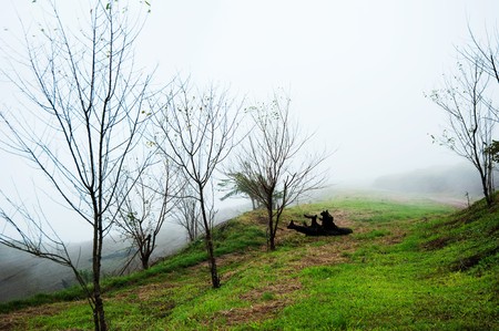 Dry tree on Fog (Petchaboon Thailand)の写真素材
