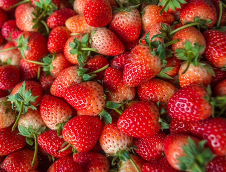 Strawberry - full frameの写真素材