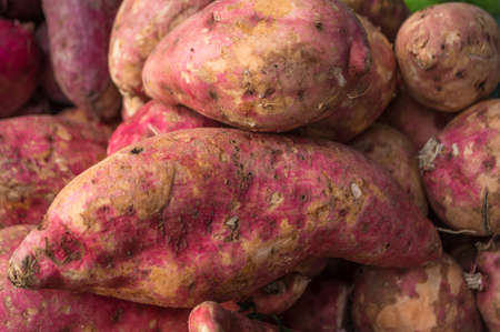 yam, purple skin of yam fruit put in basket selling at the market