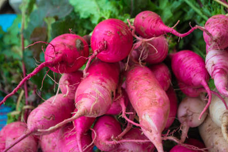 Baby Carrotの写真素材