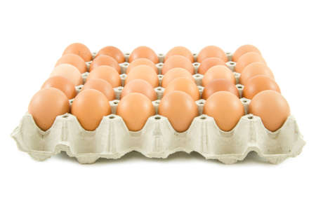 eggs in the packageの写真素材