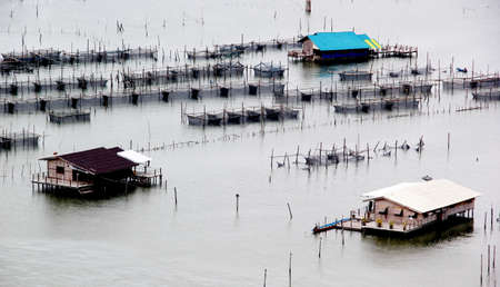 house in waterの写真素材