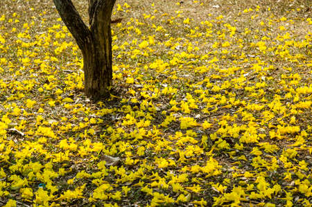 Underの写真素材