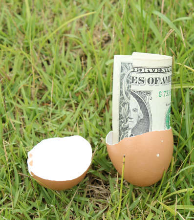 Money eggの写真素材