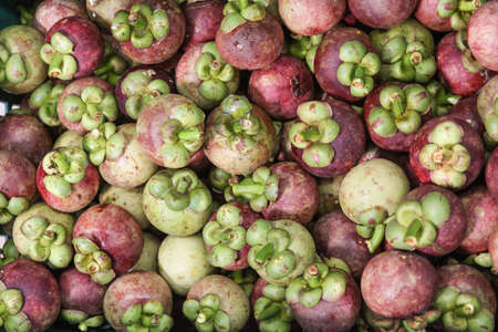 mangosteenの写真素材