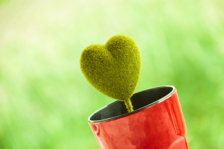Green heart in the red cupの写真素材