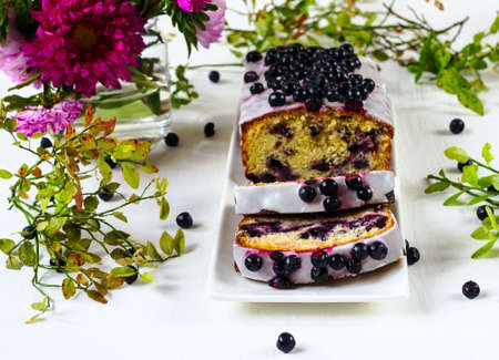 bilberry pie on a white background with branches of bilberry and astersの写真素材