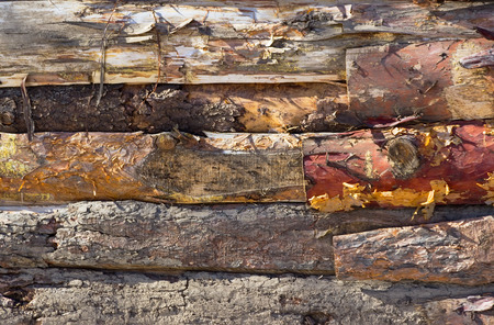 old wooden wall from logsの写真素材