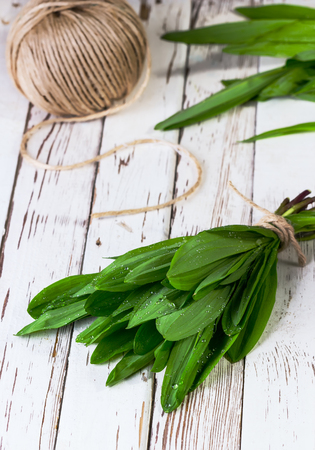 ramson which is tied up by a twine on a white wooden backgroundの写真素材