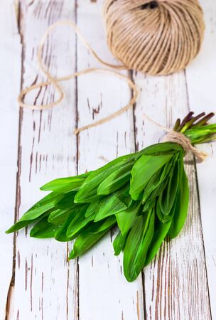 ramson which is tied up by a twine on a white wooden backgroundの写真素材