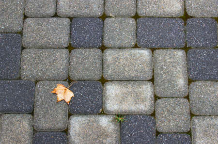 lonely autumn leaf against stonesの写真素材