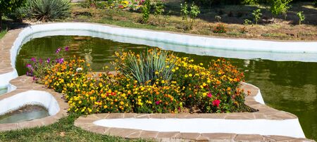 flowers a lawn against water