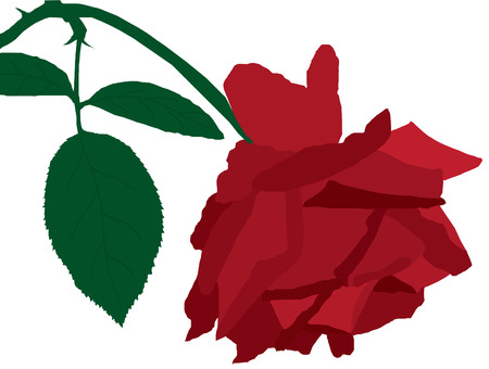 red rose with green leavesのイラスト素材