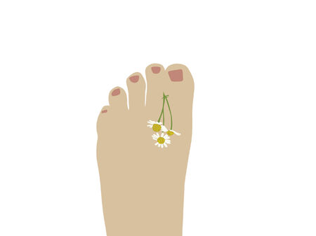 human leg with a chamomile flowerのイラスト素材