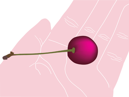one hand with ripe tasty cherryのイラスト素材