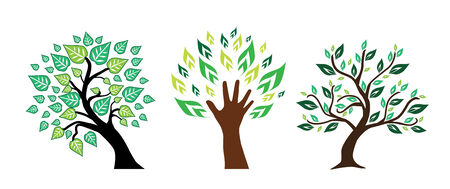 set of different treesのイラスト素材