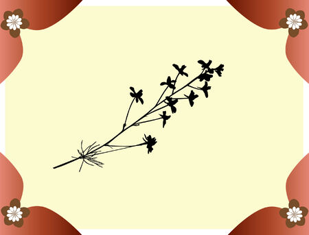 photo blank with space for your photoのイラスト素材