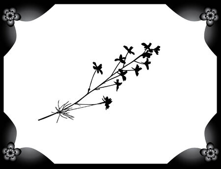 photo blank with space for your imageのイラスト素材
