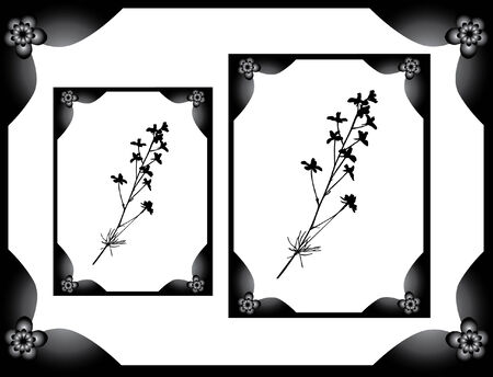 photo blanks with space for your imageのイラスト素材