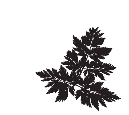 floral branch silhouette with space for your textのイラスト素材