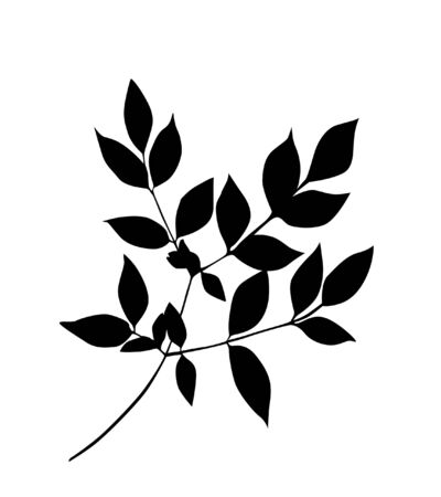 branch silhouette, element for your designのイラスト素材