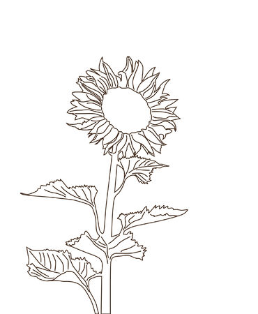 sunflower silhouette, element for your designのイラスト素材