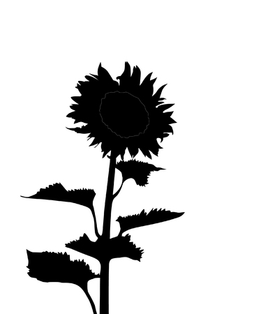 sunflower silhouette, element for your designのイラスト素材