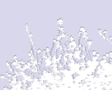 floral invitation for life events with place for text in soft gray colorsのイラスト素材