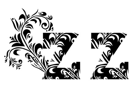 decorative letter Z for your designのイラスト素材