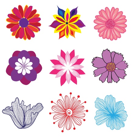 set of beautiful flowers for your designのイラスト素材
