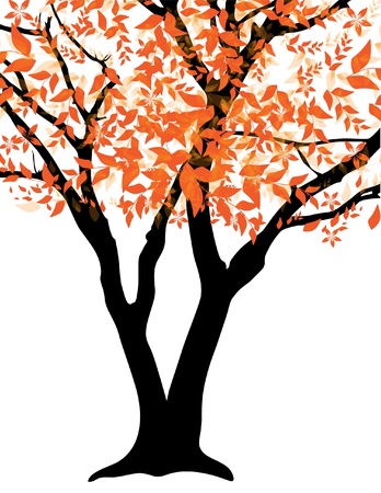 elegant autumn tree, symbol of natureのイラスト素材