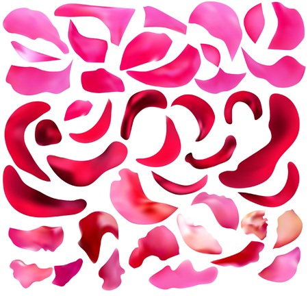 abstract pink and red rose petals backgroundのイラスト素材