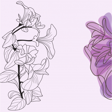 elegant floral invitation with decorative hand drawn viola flowersのイラスト素材