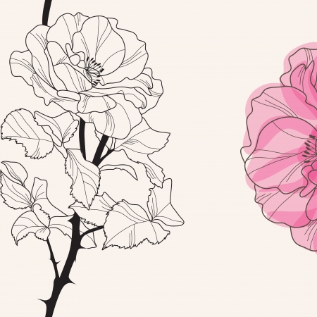 elegant floral invitation with hand drawn decorative roseのイラスト素材