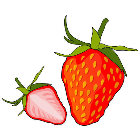 ripe strawberry fruits, whole and sliced, healthy vegetarian foodのイラスト素材