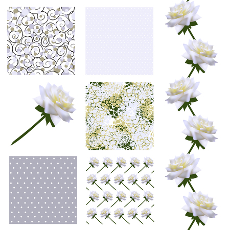 set of 6 elegant seamless patterns with decorative white roses, dots, curls and abstract flowers, design elementsのイラスト素材