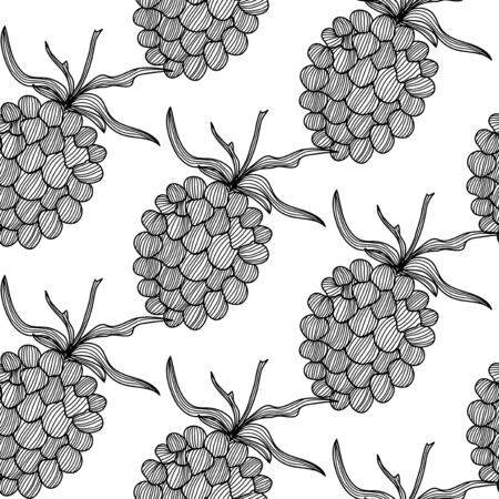 elegant seamless pattern with decorative raspberries, design element  Healthy food backgroundのイラスト素材