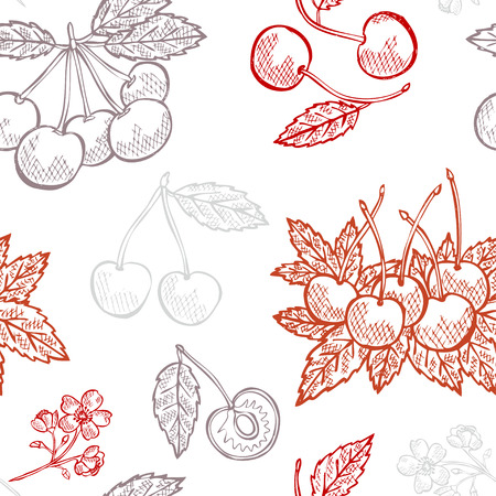 Elegant seamless pattern with hand drawn decorative cherry fruits, design elements. Can be used for invitations, greeting cards, scrapbooking, print, gift wrap, manufacturing. Food backgroundのイラスト素材