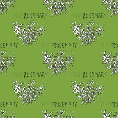 Elegant seamless pattern with hand drawn rosemary, design elements.のイラスト素材
