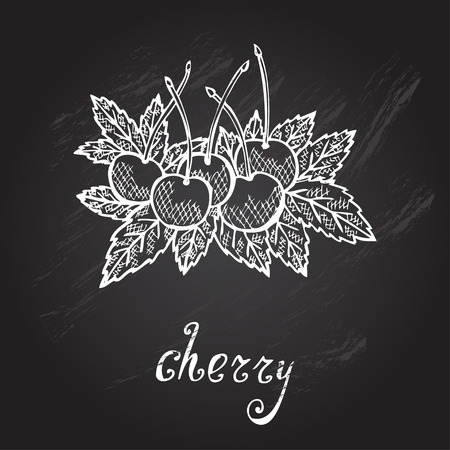 Hand drawn decorative cherry fruits, design elementsのイラスト素材