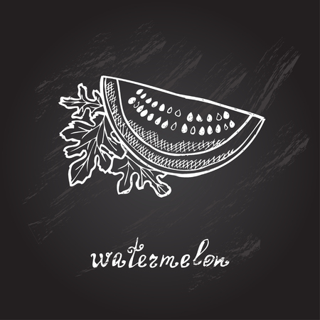 Hand drawn decorative sliced watermelon, design elementのイラスト素材