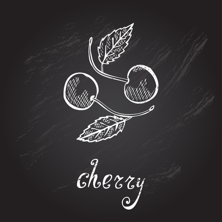 Hand drawn decorative cherry fruits, design elementsのイラスト素材