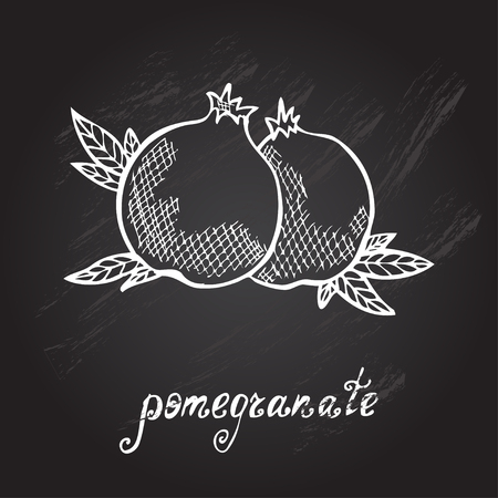 Hand drawn decorative pomegranates, design elementsのイラスト素材