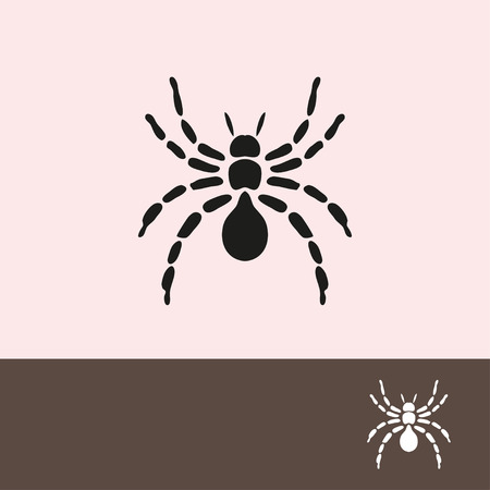 Abstract spider symbol, design element. Can be used for invitations, greeting cards, scrapbooking, print, labels, emblems, manufacturingのイラスト素材