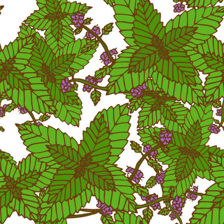 Elegant seamless pattern with hand drawn decorative mintのイラスト素材