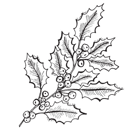 Hand drawn decorative christmas holly, design element. Can be used for cards, invitations, gift wrap, print, scrapbooking. Christmas and New Year backgroundのイラスト素材
